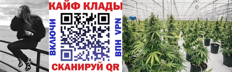 Где купить наркоту Новая Ляля Конопля APVP Меф мяу мяу АМФ Галлюциногенные грибы Кокаин