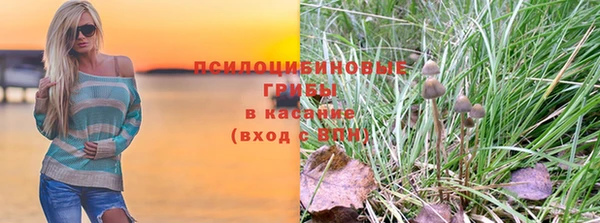 прущие крисы Осинники