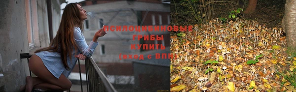мескалин Нягань